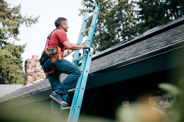 Best Hot Roofs  in Thonotosassa, FL